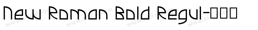 New Roman Bold Regul字体转换